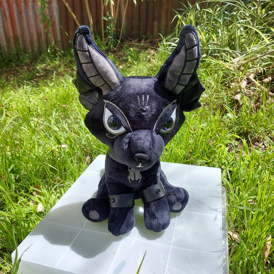 Black As Night Anubis