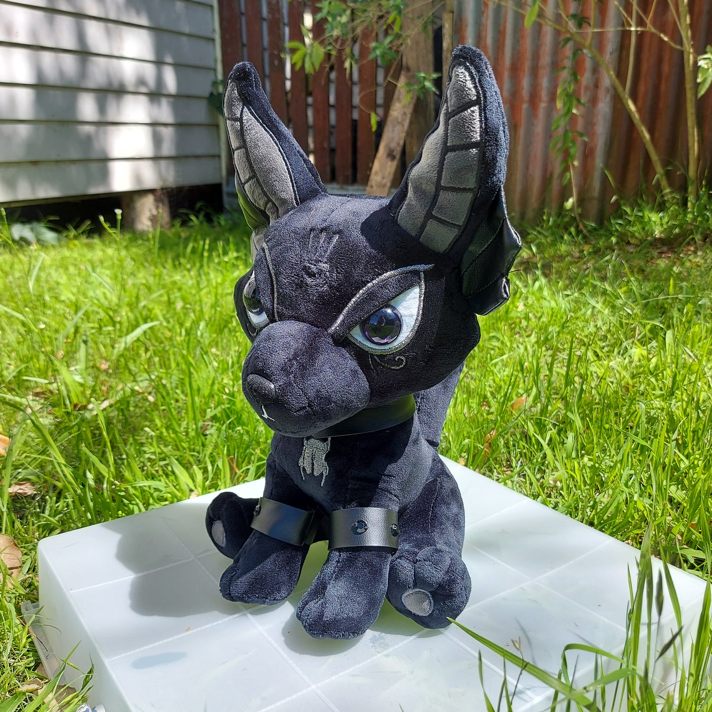 Black As Night Anubis