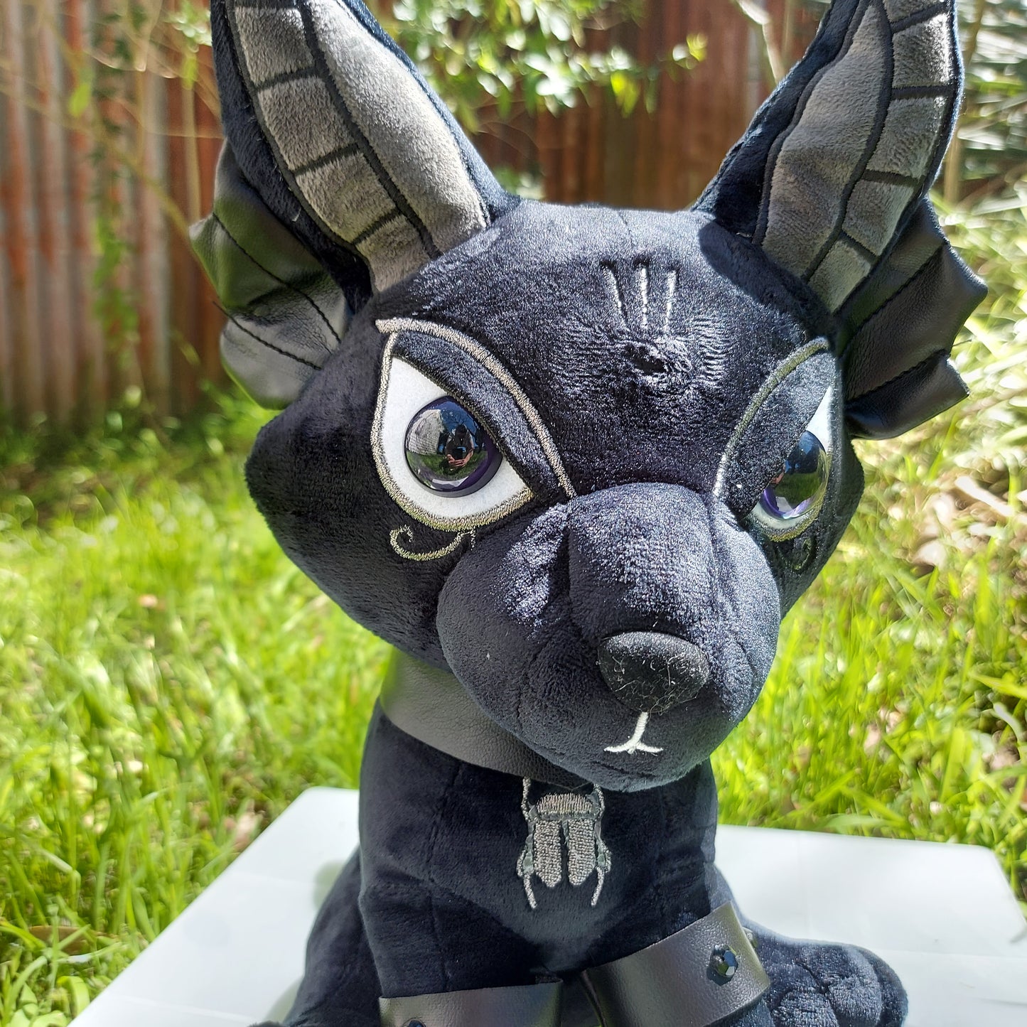 Black As Night Anubis