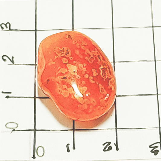 Individual Tumbled Carnelian Crystal