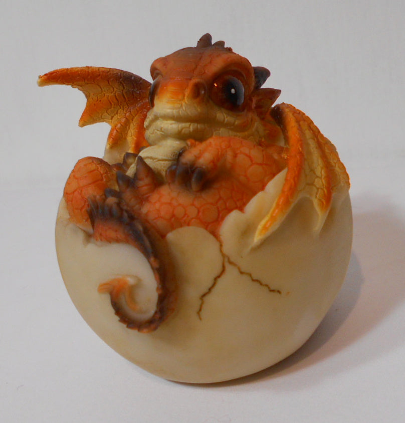 Hatching Dragon Cute