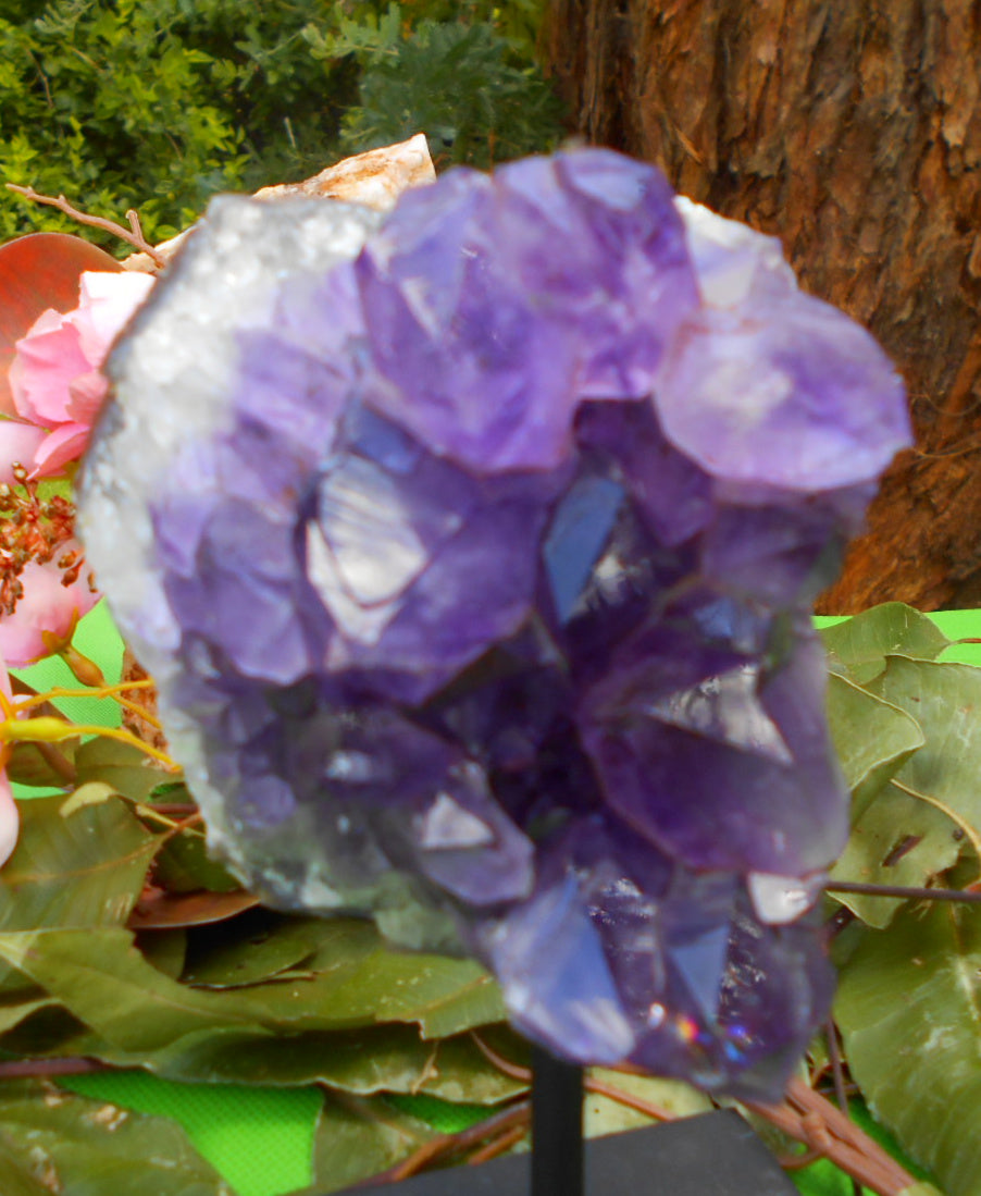 Amethyst Cluster on Stand - 14cm