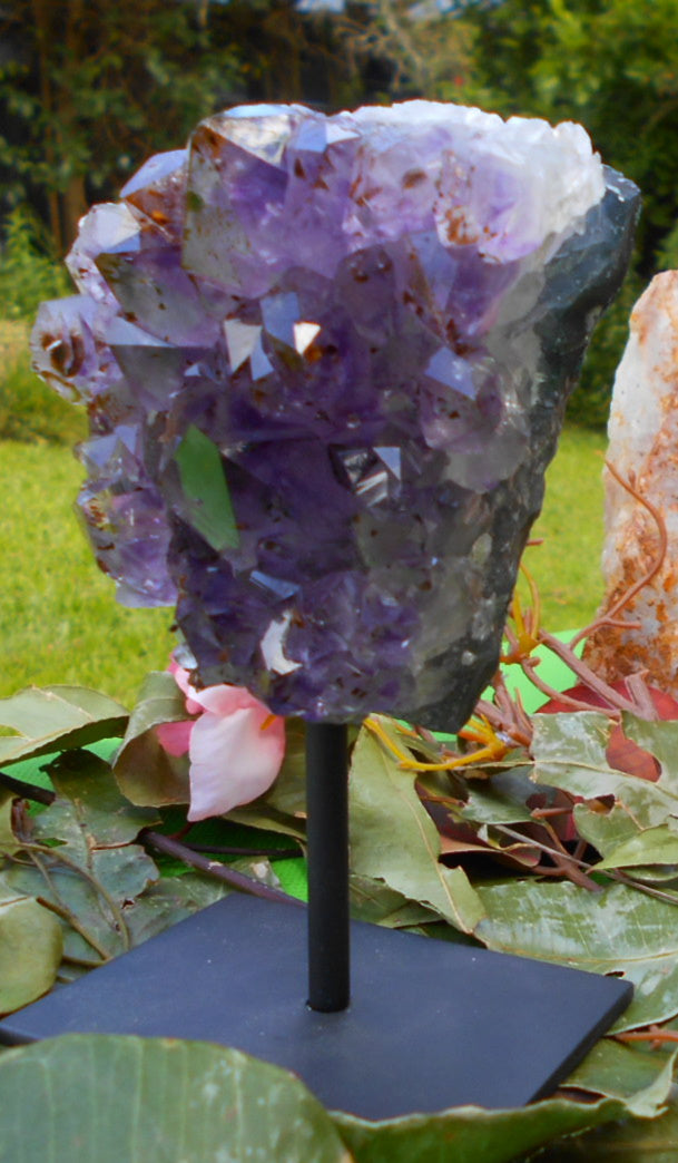 Amethyst Cluster on Stand - 13.5 cm
