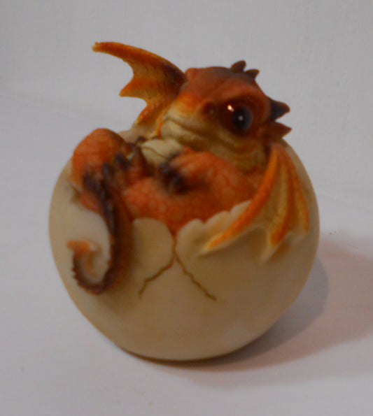 Hatching Dragon Cute
