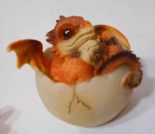 Hatching Dragon Cute