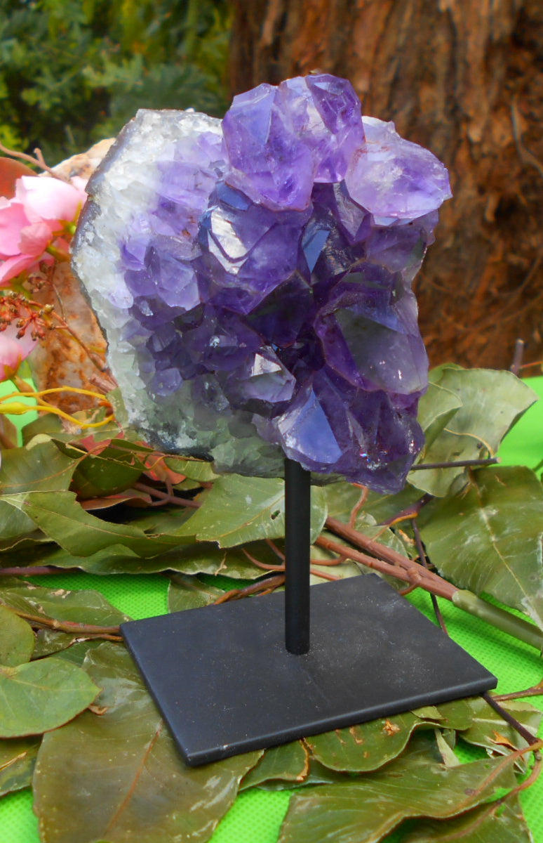 Amethyst Cluster on Stand - 14cm