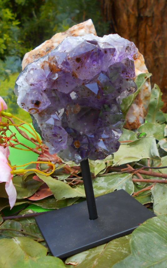 Amethyst Cluster on Stand - 13.5 cm